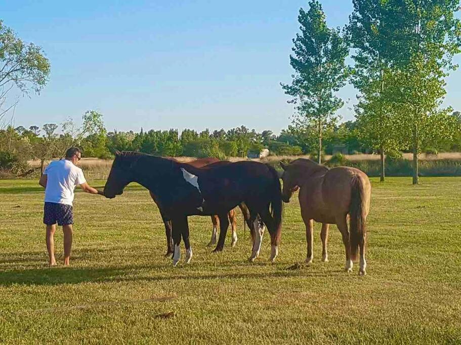Casa De Campo En Club Privado Benquerencia San Miguel del Monte Dış mekan fotoğraf
